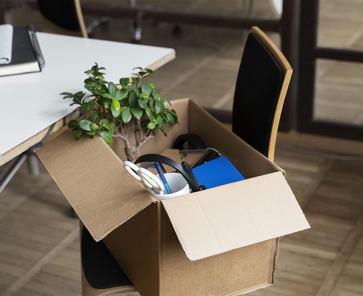 Cómo hacer la mudanza de tu empresa sin que afecte al negocio